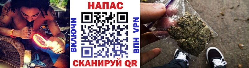 как найти наркотики Кувшиново Шишки марихуана THC 21%