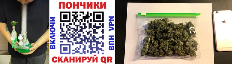 Каннабис сатива Кувшиново